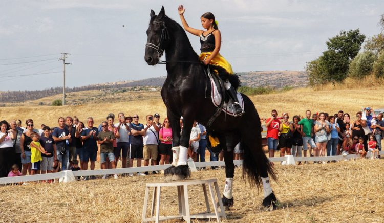 Fiera Di San Bartolomeo A Giarratana Successo Di Presenze E