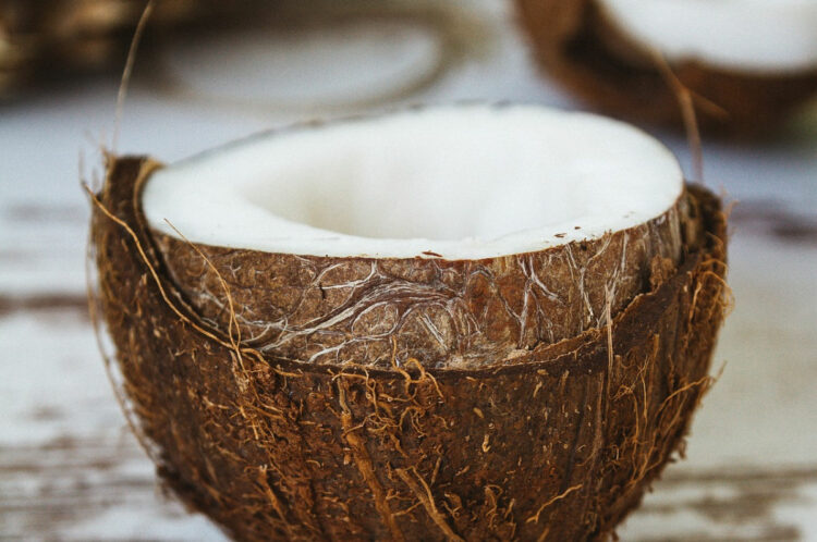 Coconut oil, super food: the 5 health benefits