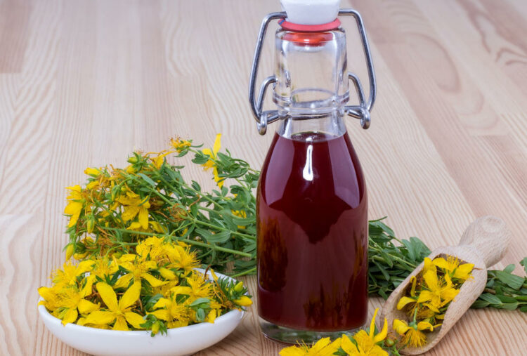 Hypericum oil, the uses that not everyone knows and how to prepare it: recipe